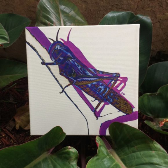 Locust - Original Wall Art print on 12 x 12 canvas - Picture 6 of 6